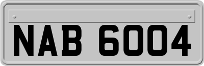 NAB6004