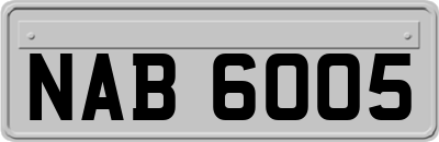 NAB6005