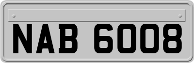 NAB6008