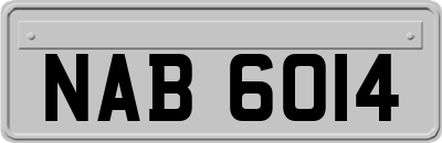 NAB6014