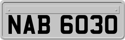 NAB6030