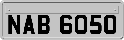 NAB6050