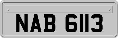 NAB6113