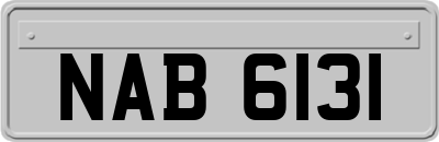 NAB6131