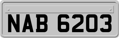 NAB6203