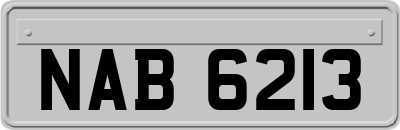 NAB6213