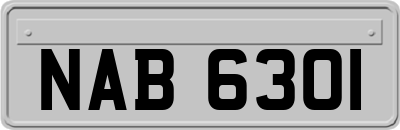 NAB6301