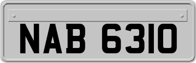 NAB6310