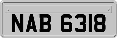 NAB6318