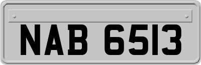 NAB6513