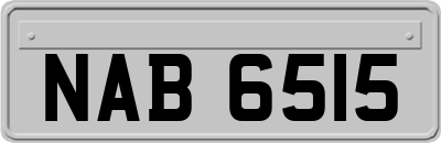 NAB6515