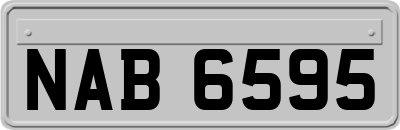 NAB6595