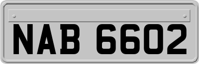 NAB6602