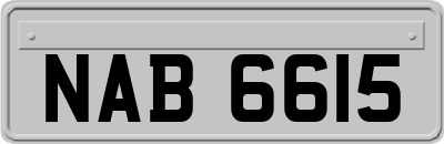 NAB6615