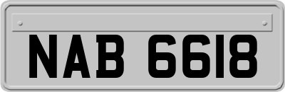 NAB6618