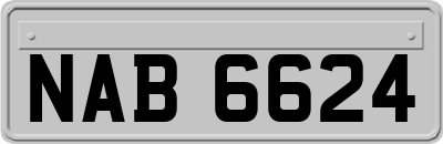 NAB6624