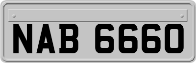 NAB6660