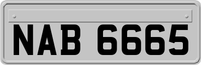 NAB6665