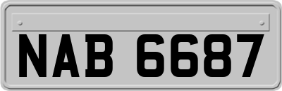 NAB6687