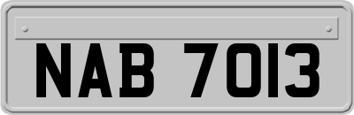 NAB7013