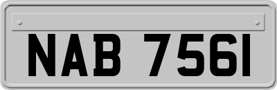 NAB7561