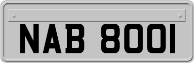 NAB8001