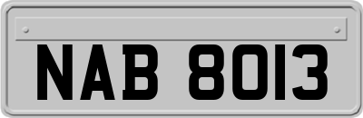 NAB8013