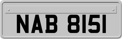 NAB8151