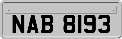 NAB8193