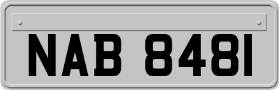NAB8481