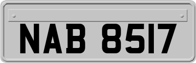 NAB8517