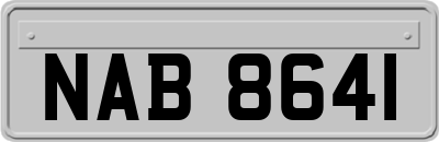 NAB8641