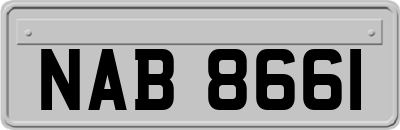 NAB8661