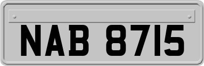 NAB8715