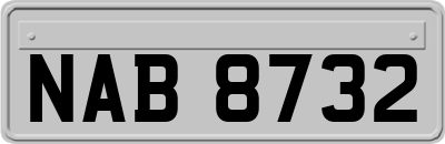 NAB8732