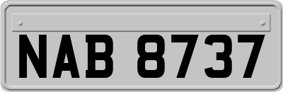 NAB8737