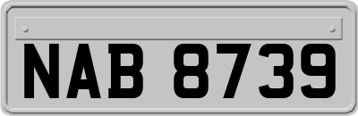 NAB8739