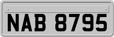 NAB8795