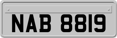 NAB8819