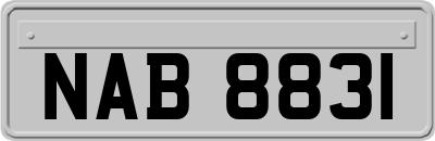 NAB8831