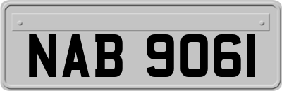 NAB9061