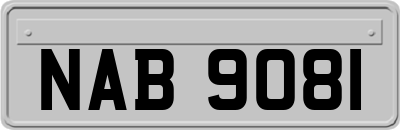 NAB9081