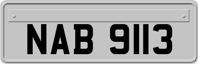 NAB9113