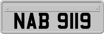 NAB9119