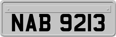 NAB9213