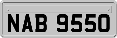 NAB9550