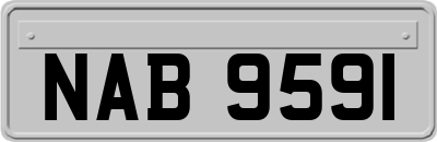 NAB9591