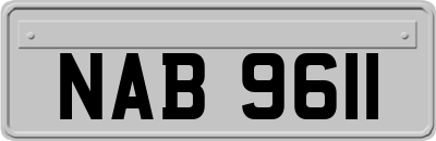 NAB9611