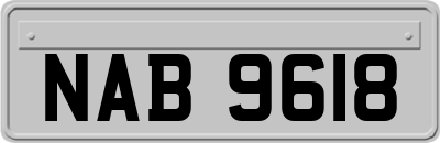 NAB9618