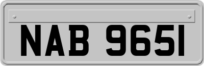 NAB9651